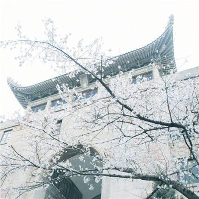 【图集】北京海淀西三旗街道富力桃园C区升级中风险地区